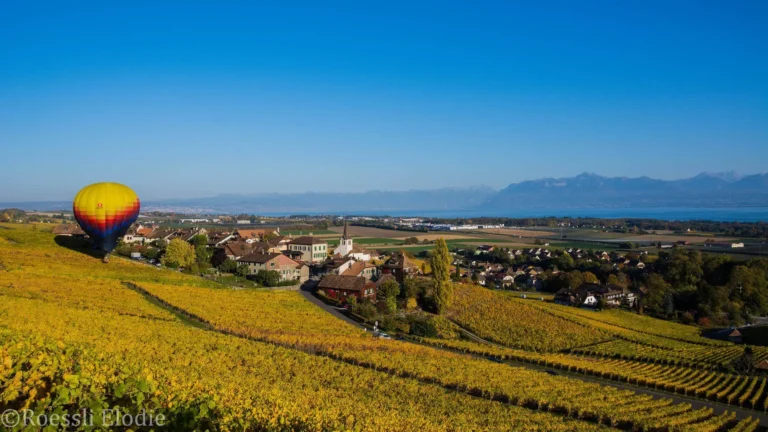 Profi-Bereich - Image hero