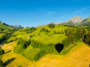 Warum sollten Sie uns wählen?