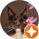 Gayle profile picture